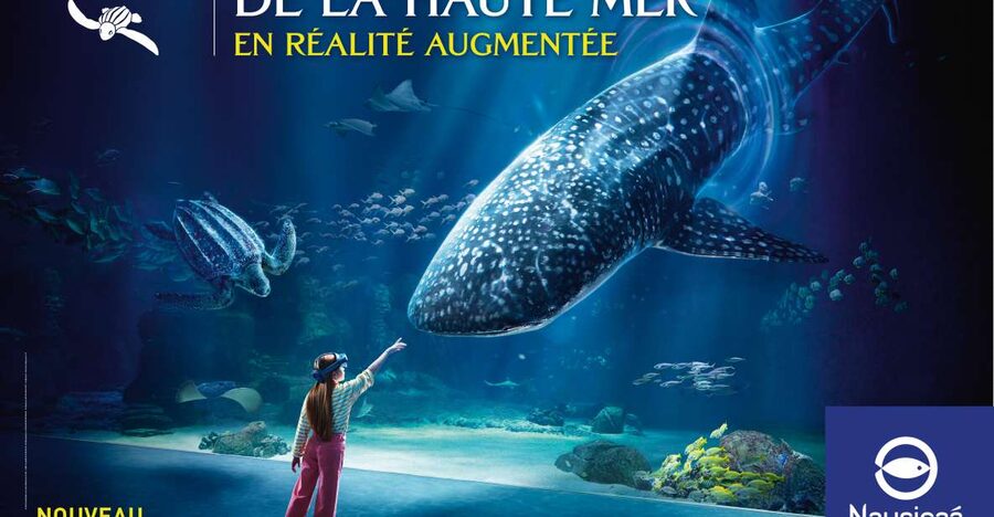Nausicaá National Sea Center: Full-Day Entry Ticket - The giant tank is the reason to make the trip