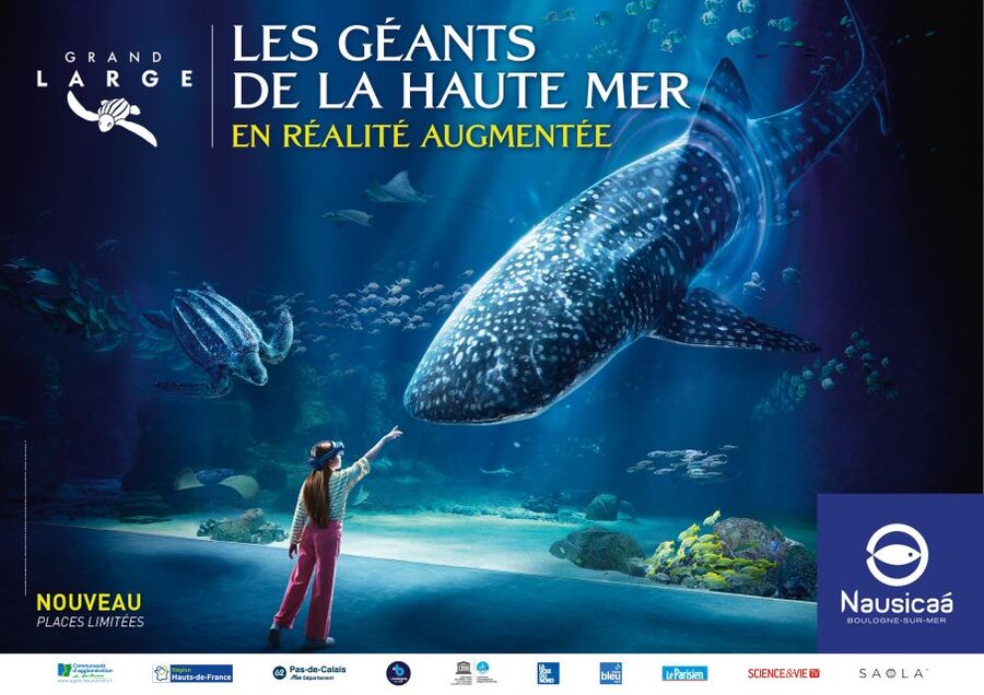 Nausicaá National Sea Center: Full-Day Entry Ticket - Live activities break up the aquarium route