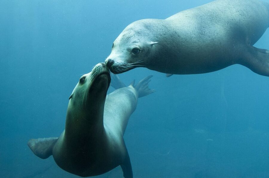 Nausicaá National Sea Center: Full-Day Entry Ticket - Who will enjoy Nausicaá most?