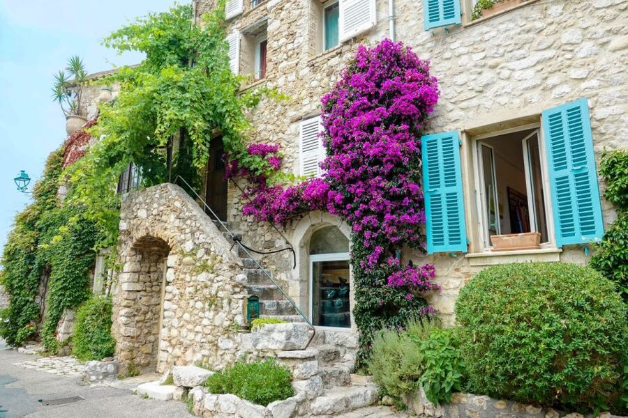 Nice: Cannes, Antibes & St Paul de Vence Half-Day Tour - Price, inclusions, and the value of convenience