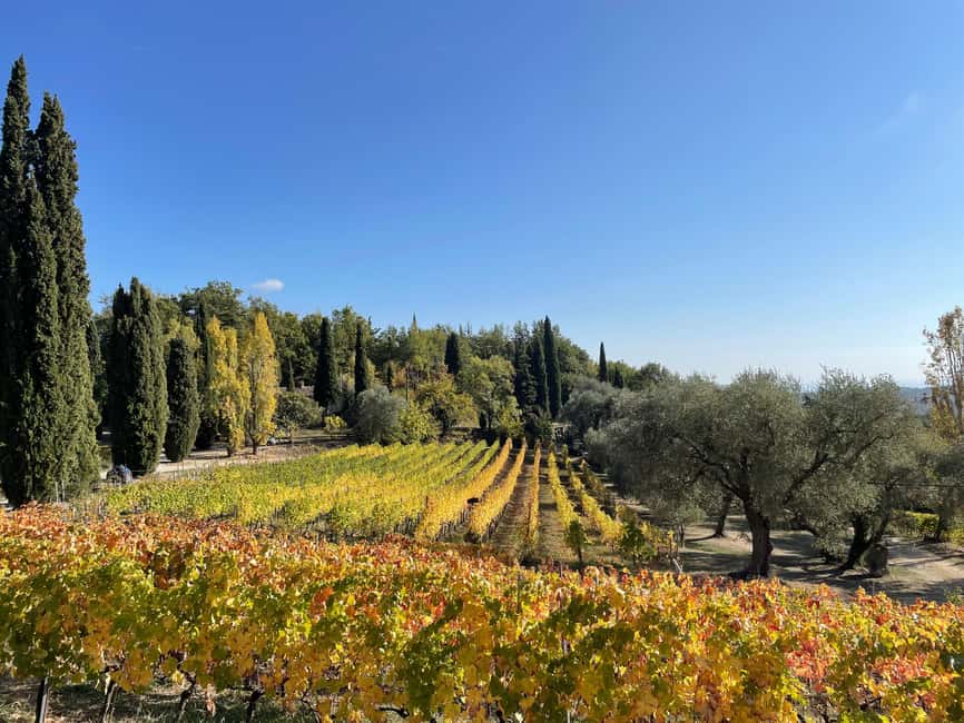 Nice: Full-Day Côtes de Provence Wine Tour - Why a full day in Côtes de Provence makes sense