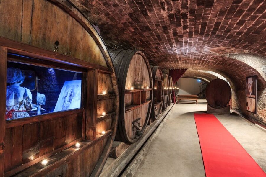 Nice: Full-Day Côtes de Provence Wine Tour - The first winery: start with place and process