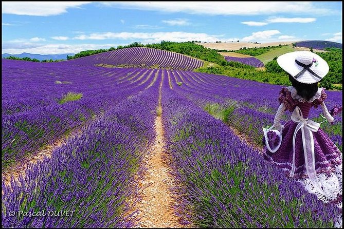Nice: Gorges of Verdon and Fields of Lavender Tour - The long ride inland through Provence