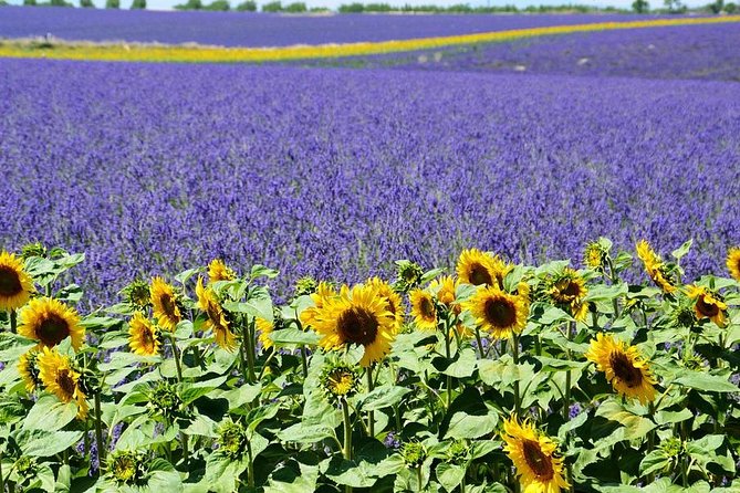 Nice: Gorges of Verdon and Fields of Lavender Tour - Moustiers-Sainte-Marie in 45 minutes
