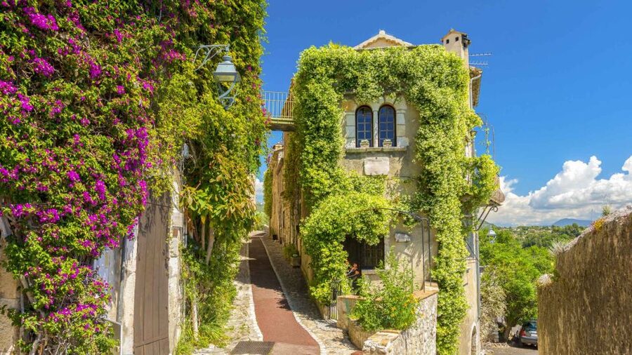 Nice: Medieval Villages Full-Day Guided Trip - Grasse: where flowers become perfume