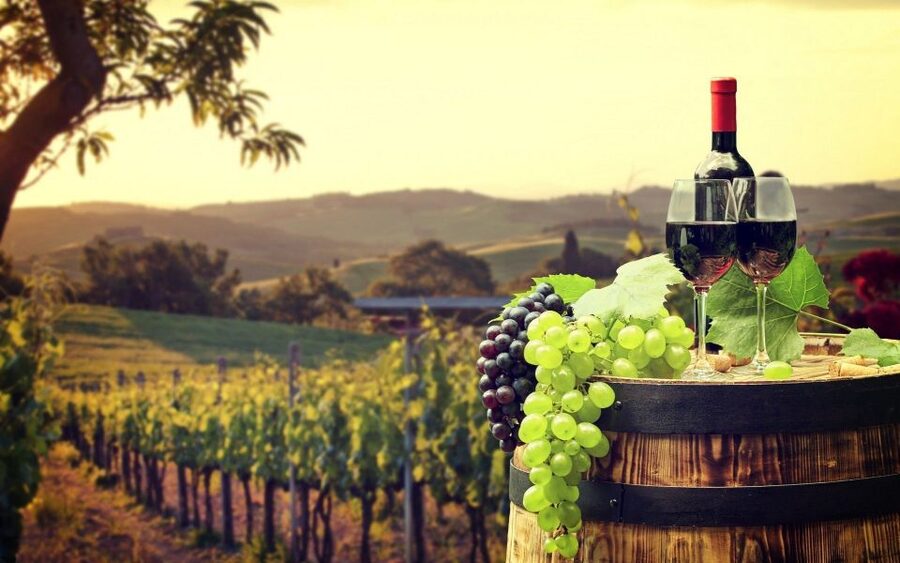 Nice: Provence Village Tour with Wine and Produce Tasting - Key points at a glance