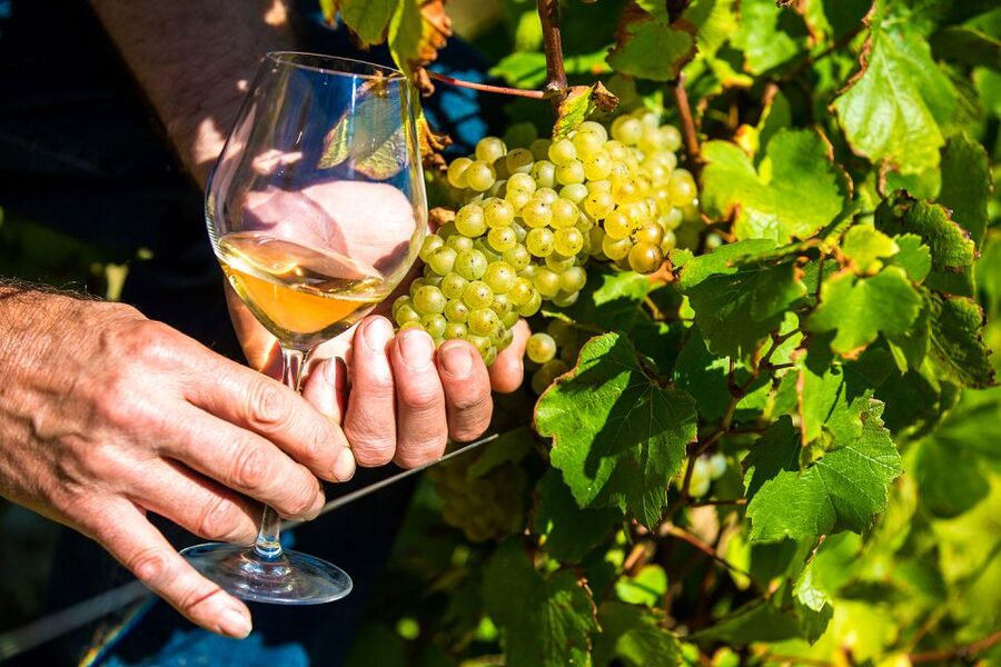 Nice: Provence Village Tour with Wine and Produce Tasting - Biot and the art of making glass