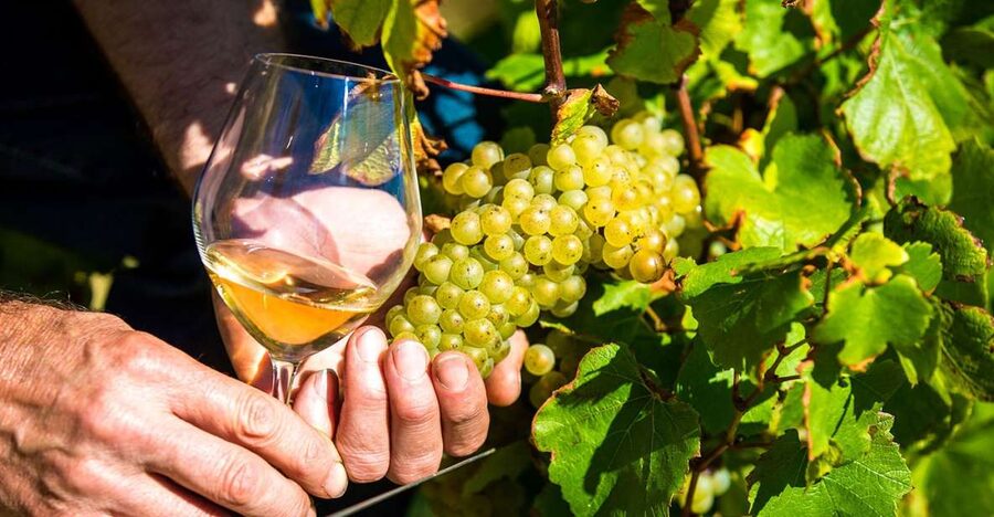 Nice: Provence Village Tour with Wine and Produce Tasting - Morning pickup and the ride into the hills