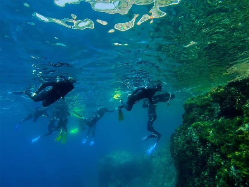 Nice: Snorkeling Speedboat Tour in Villefranche Bay - Meeting Chango Diving at Nice’s port