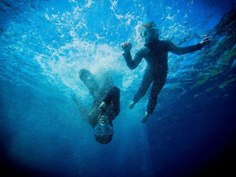 Nice: Snorkeling Speedboat Tour in Villefranche Bay - One hour in Villefranche Bay