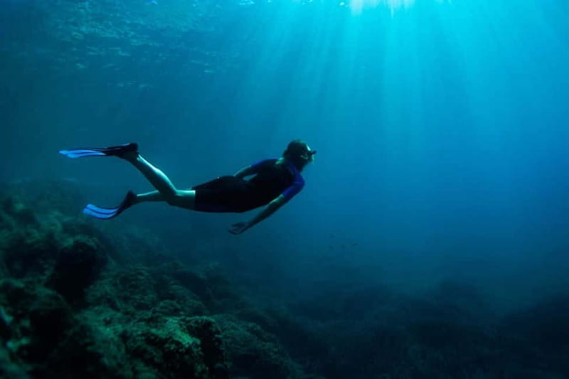 Nice: Snorkeling Speedboat Tour in Villefranche Bay - How the $68 price holds up