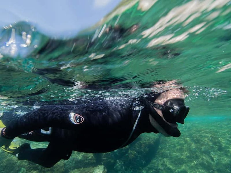 Nice: Snorkeling Speedboat Tour in Villefranche Bay - Who should book this Nice snorkeling trip?
