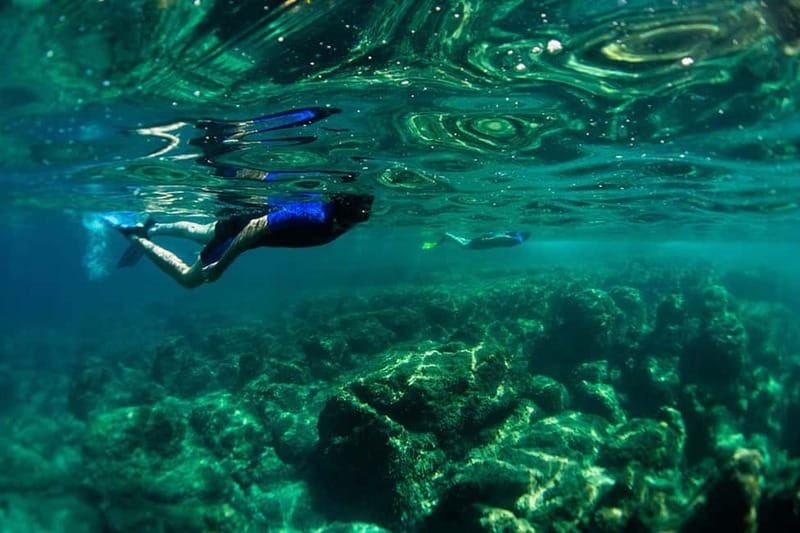 Nice: Snorkeling Speedboat Tour in Villefranche Bay - The 10 to 15 minute speedboat ride