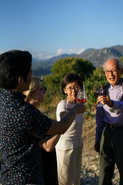 Nice: Vineyard Tour with Wine Tasting - Walking through the vines and production area