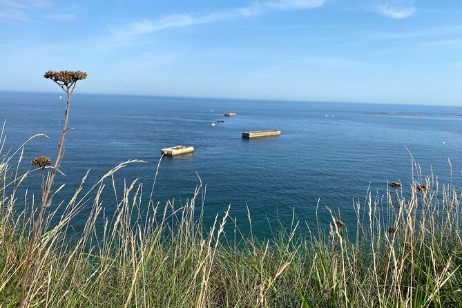 Normandy American & British DDay Beaches Halfday Tour from Bayeux - Longues-sur-Mer: original guns and the Atlantic Wall
