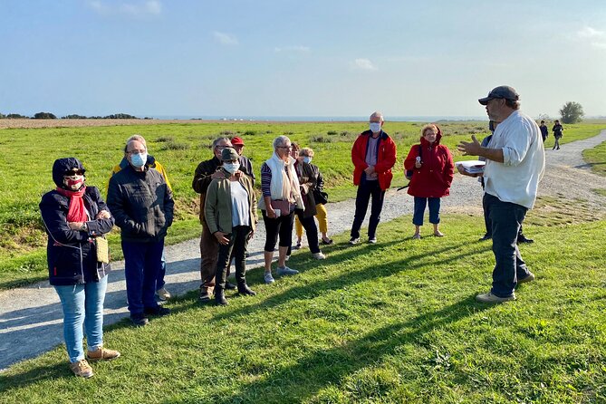 Normandy American D-Day Beaches Full Day Tour from Bayeux - Pointe du Hoc: craters, cliffs, and Ranger courage