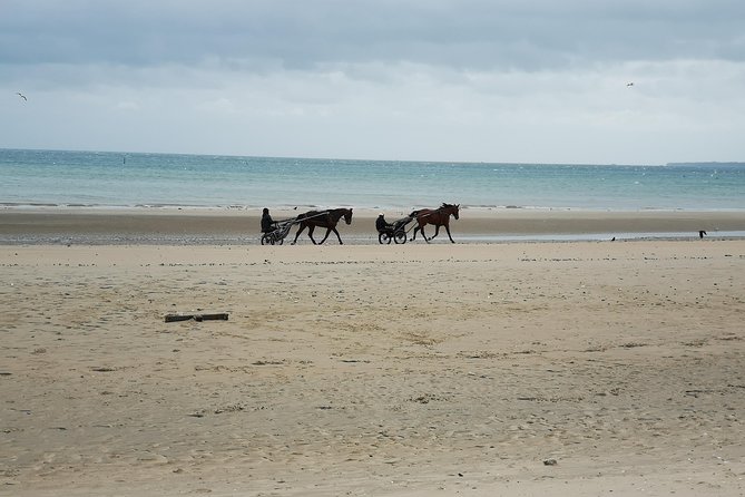 Normandy Beaches Half-Day Afternoon Trip from Bayeux (A2) - Who should book this Normandy afternoon?
