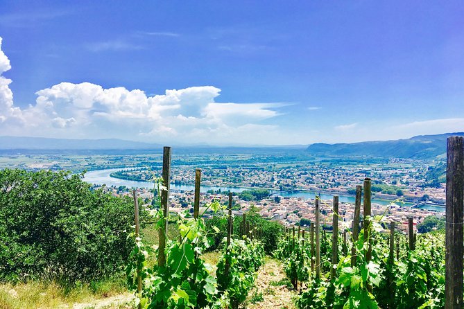 Northern Rhône Valley From Lyon Full day - Key points to know before booking