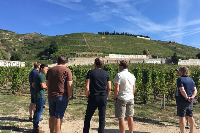 Northern Rhône Valley From Lyon Full day - Why Northern Rhône is worth a day from Lyon