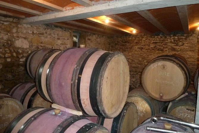 Northern Rhône Valley Wine tour from Lyon Half Day - What the winery tastings are really like