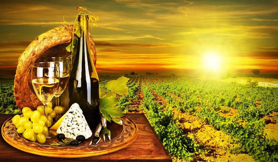 Organic Wine Tasting with Saint paul Half Day Tour from Nice - Why this Nice wine tour works