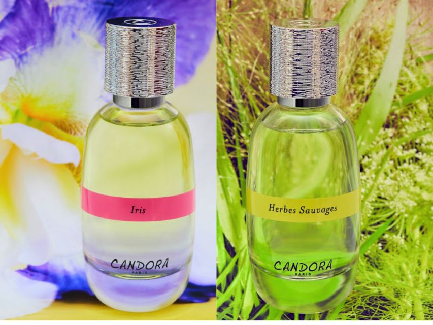Paris: 2-Hour Perfume Creation Workshop - Why this Paris perfume class feels personal