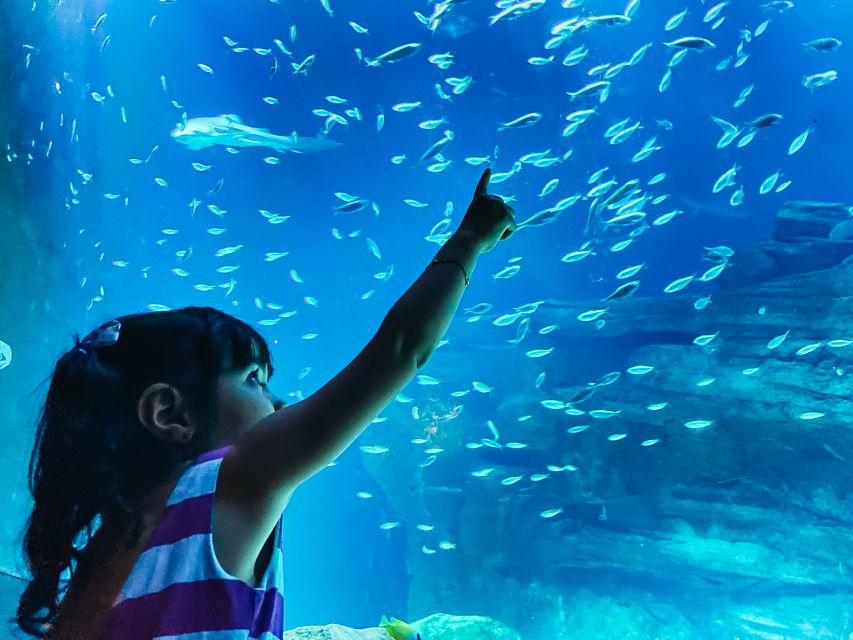 Paris: Aquarium de Paris Entrance Ticket - Key points to know before you go