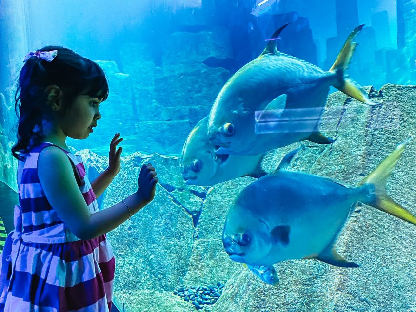 Paris: Aquarium de Paris Entrance Ticket - Touching koi makes the visit more than a viewing experience
