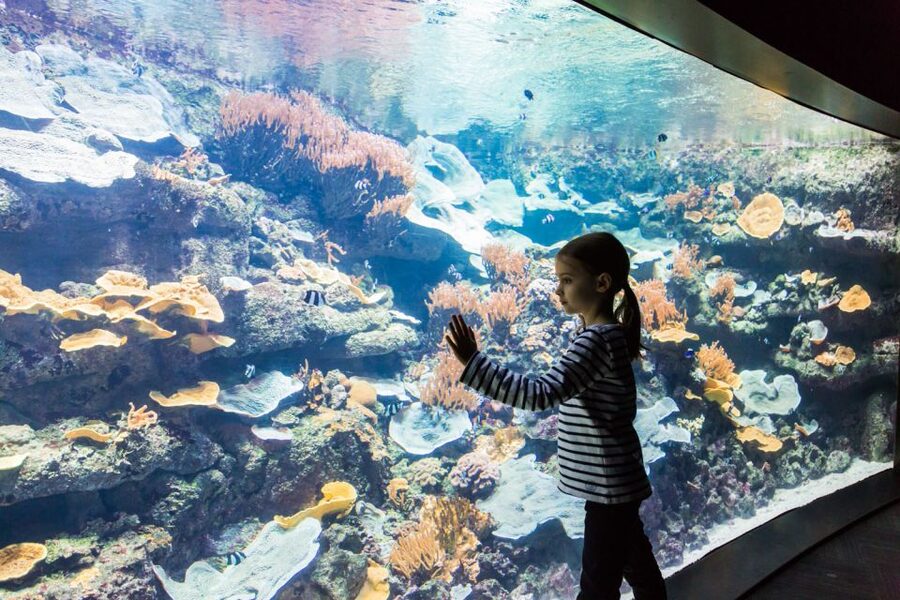 Paris: Aquarium de Paris Entrance Ticket - Is the $25 price good value?