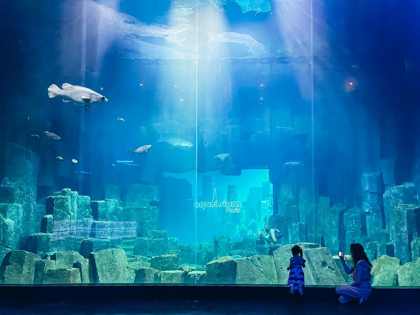 Paris: Aquarium de Paris Entrance Ticket - What the visit feels like from tank to tank