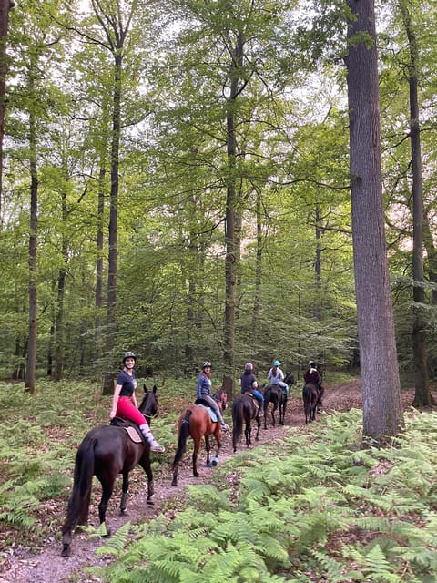 Paris: Aumont-en-Halatte Horseback Riding Tour - Practical details that make the ride easier