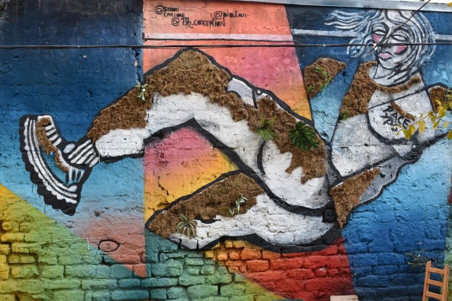 Paris: Belleville Street Art Tour with an Artist - Meeting Belleville’s artist guides
