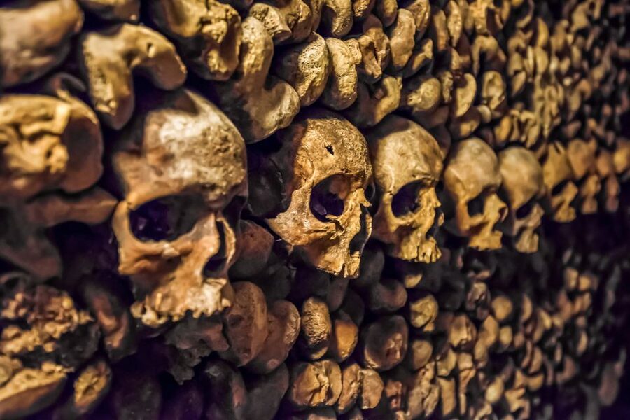 Paris: Catacombs Restricted Access Tour - The descent: 130 steps into Paris’s underworld