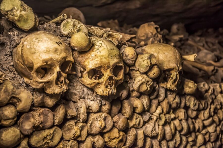 Paris: Catacombs Restricted Access Tour - The ossuary and its solemn walls of bones