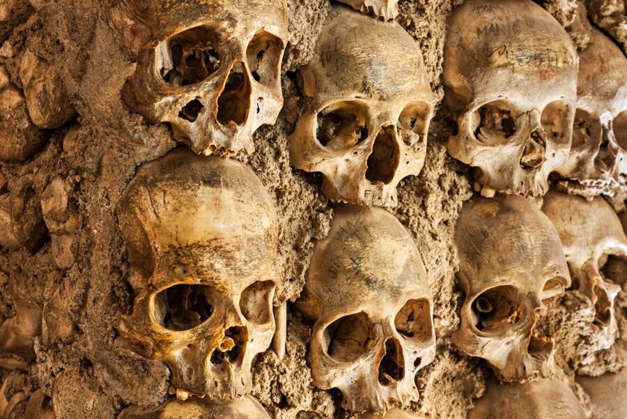 Paris: Catacombs Ticket and Seine River Cruise - What you actually get for $104