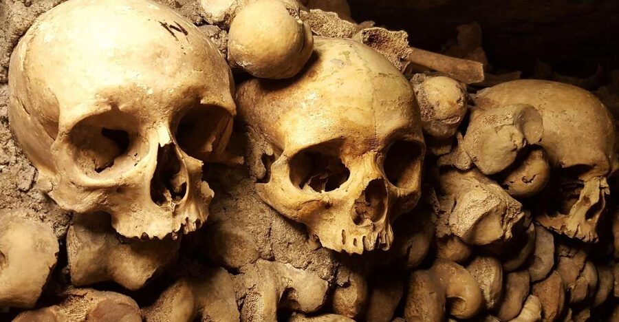 Paris: Catacombs Ticket and Seine River Cruise - Descending 131 steps into the Catacombs