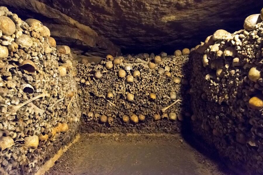 Paris: Catacombs Ticket and Seine River Cruise - The Seine cruise from Eiffel Tower to Notre Dame