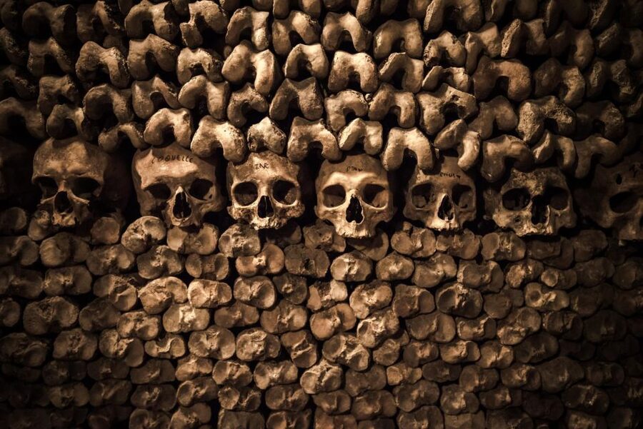 Paris: Catacombs Ticket and Seine River Cruise - When the package works best