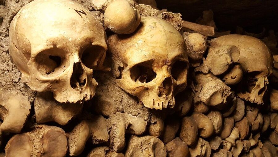 Paris: Catacombs Ticket and Seine River Cruise - Tips for a smoother visit