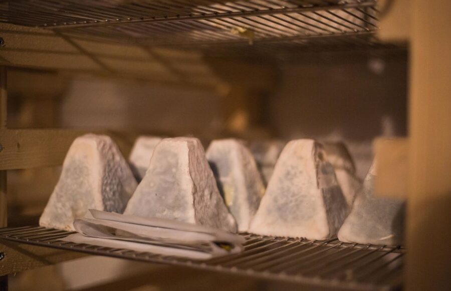 Paris: Cheese and Wine Class in a 17th Century Cellar - The guides make the difference