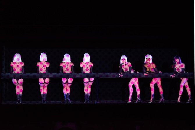 Paris Crazy Horse Cabaret Show with Beverages including Champagne - Who should book this experience?