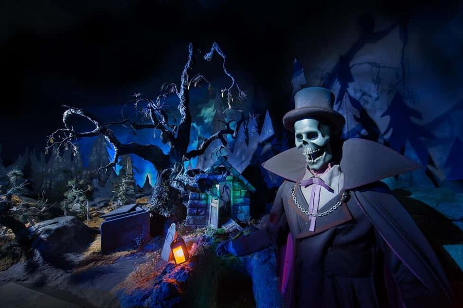 Paris: Disneyland Paris Ticket with Transfer - Who should book this day trip?