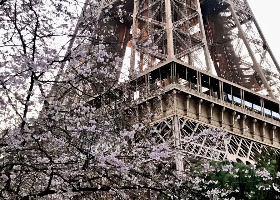 Paris: Eiffel Tower Guided Tour with Summit Access - Should you book the summit tour?