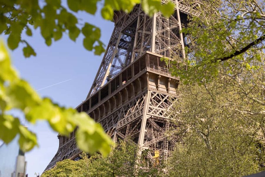 Paris: Eiffel Tower's Madame Brasserie 3-course lunch 12:00 - Who will enjoy this Eiffel Tower lunch