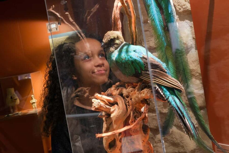 Paris: Entrance Ticket to the Chocolate Museum - More Than 1,000 Objects Across 850 Square Meters