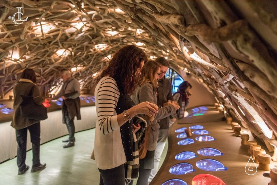 Paris: French Wine Experience in Parisian Cellar - Timing, flexibility, and practical value