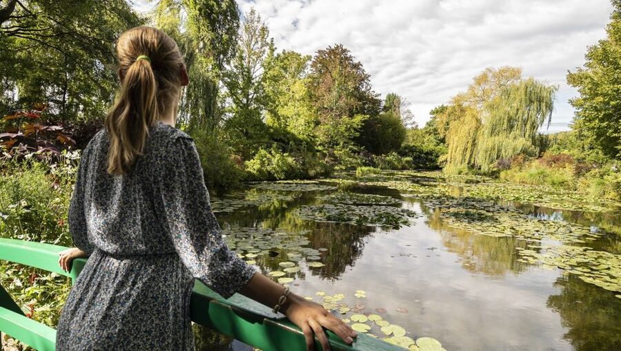 Paris: Giverny & Versailles Small Group or Private Tour - Versailles and the world of Louis XIV