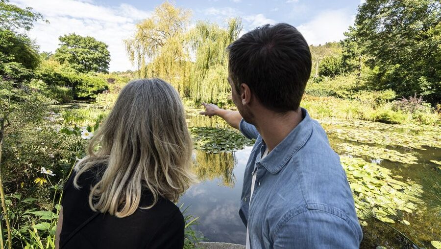 Paris: Giverny & Versailles Small Group or Private Tour - Is $377 a good value?