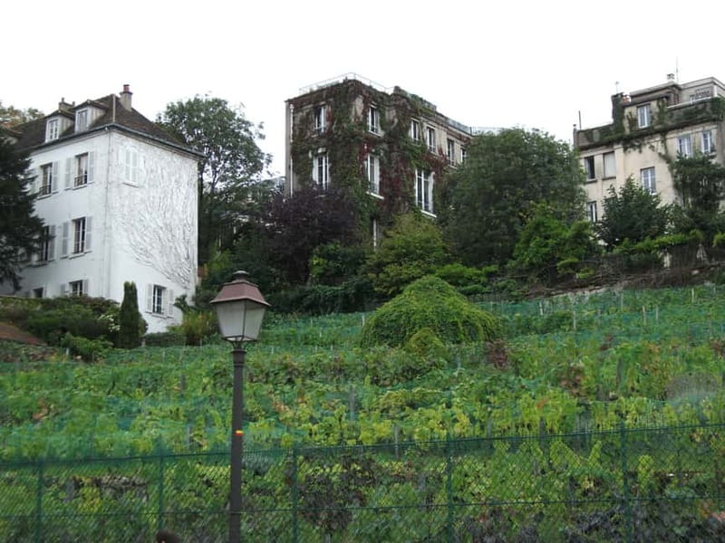 Paris: Montmartre Private Walking Tour - Why Montmartre works best with a guide