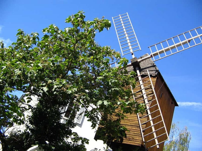 Paris: Montmartre Private Walking Tour - Rue Lepic, from steep old road to artists’ territory